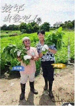慢生活手记 慢综艺海报
